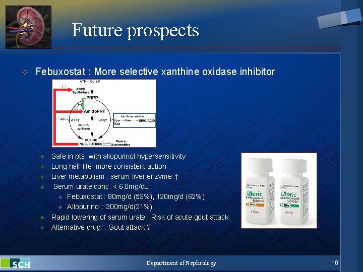 Future prospects v Febuxostat : More selective xanthine oxidase inhibitor v v v Safe