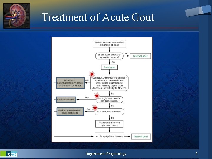 Treatment of Acute Gout Department of Nephrology 6 