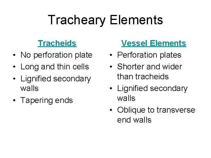 Tracheary Elements • • Tracheids No perforation plate Long and thin cells Lignified secondary