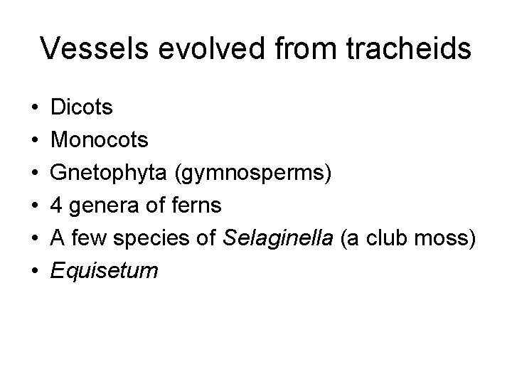 Vessels evolved from tracheids • • • Dicots Monocots Gnetophyta (gymnosperms) 4 genera of