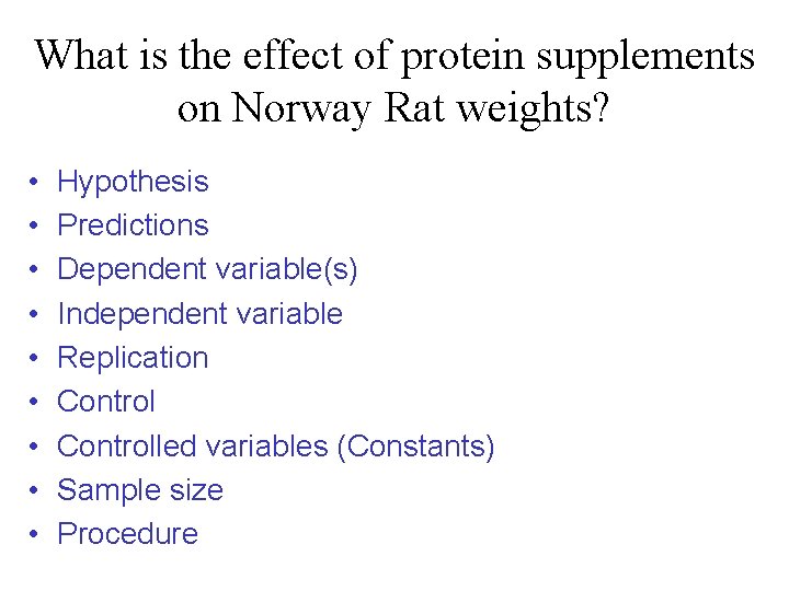What is the effect of protein supplements on Norway Rat weights? • • •
