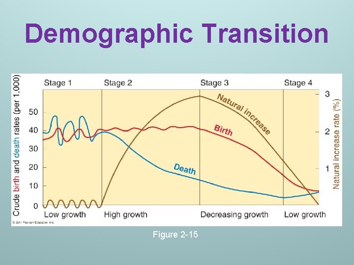 Demographic Transition Figure 2 -15 