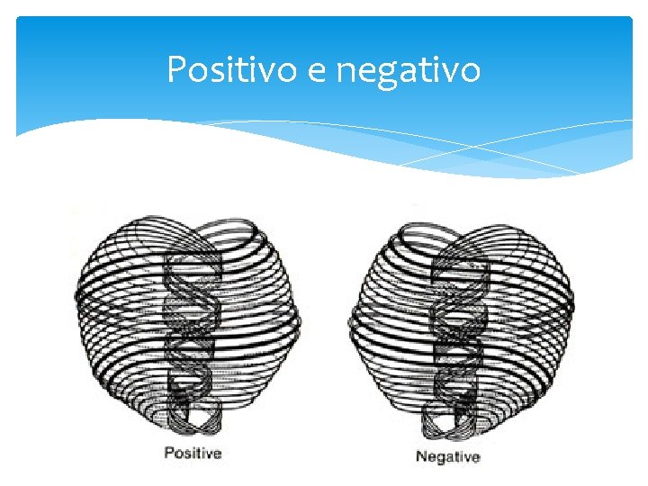 Positivo e negativo 