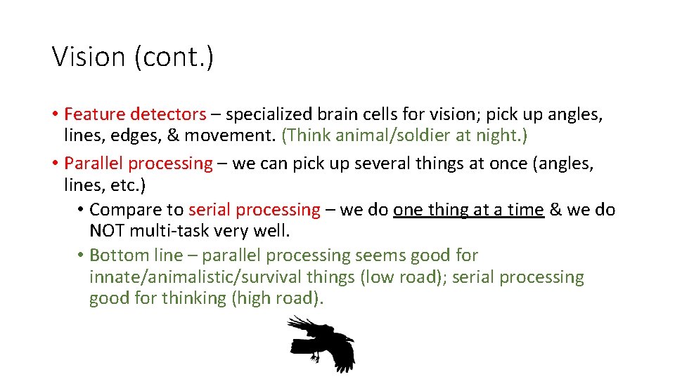 Vision (cont. ) • Feature detectors – specialized brain cells for vision; pick up