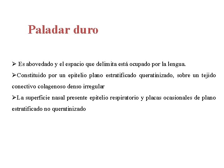 Paladar duro Ø Es abovedado y el espacio que delimita está ocupado por la