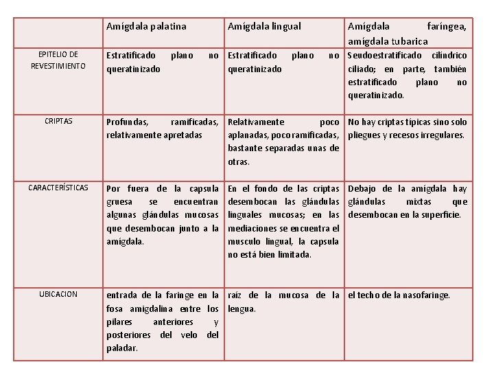 Amígdala palatina EPITELIO DE REVESTIMIENTO CRIPTAS CARACTERÍSTICAS UBICACION Estratificado queratinizado plano Amígdala lingual no