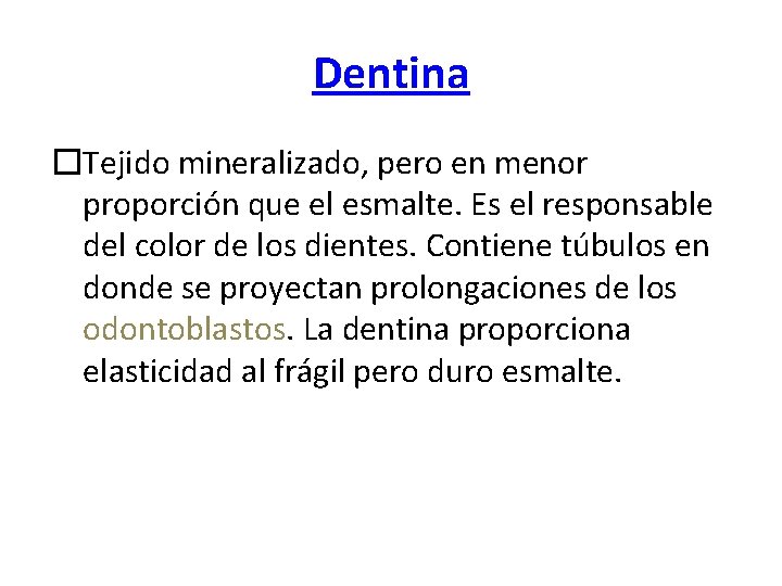 Dentina �Tejido mineralizado, pero en menor proporción que el esmalte. Es el responsable del