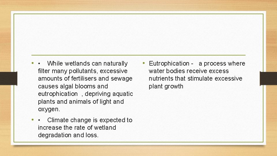 • • While wetlands can naturally filter many pollutants, excessive amounts of fertilisers • • While wetlands can naturally filter many pollutants, excessive amounts of fertilisers