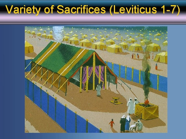 Variety of Sacrifices (Leviticus 1 -7) 