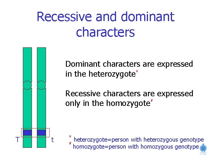 Recessive and dominant characters Dominant characters are expressed in the heterozygote* Recessive characters are