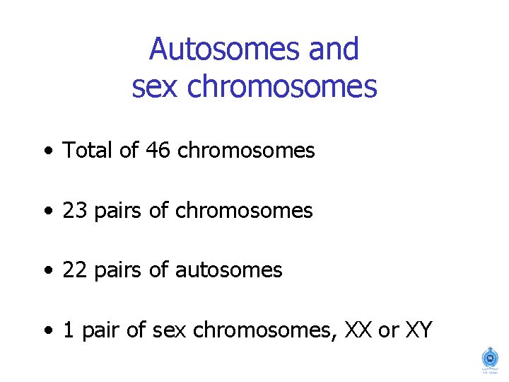 Autosomes and sex chromosomes • Total of 46 chromosomes • 23 pairs of chromosomes