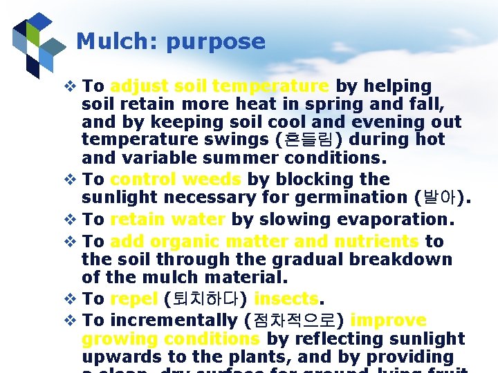 Mulch: purpose v To adjust soil temperature by helping soil retain more heat in