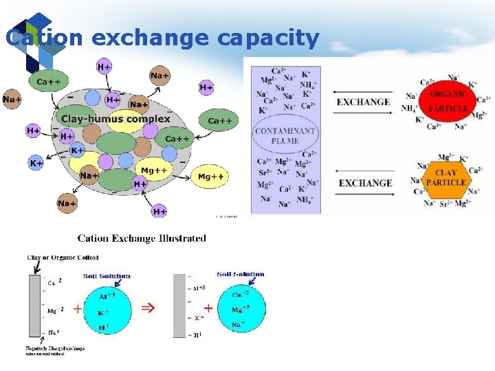 Cation exchange capacity 