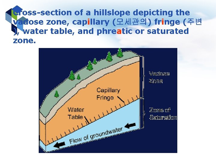 Cross-section of a hillslope depicting the vadose zone, capillary (모세관의) fringe (주변 ), water