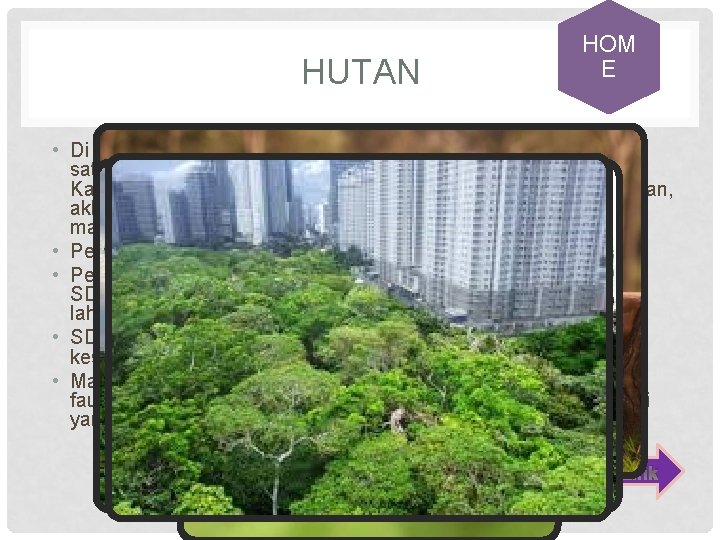 HUTAN HOM E • Di ekosistem hutan, biasanya konflik konservasi muncul antara satwa endemik