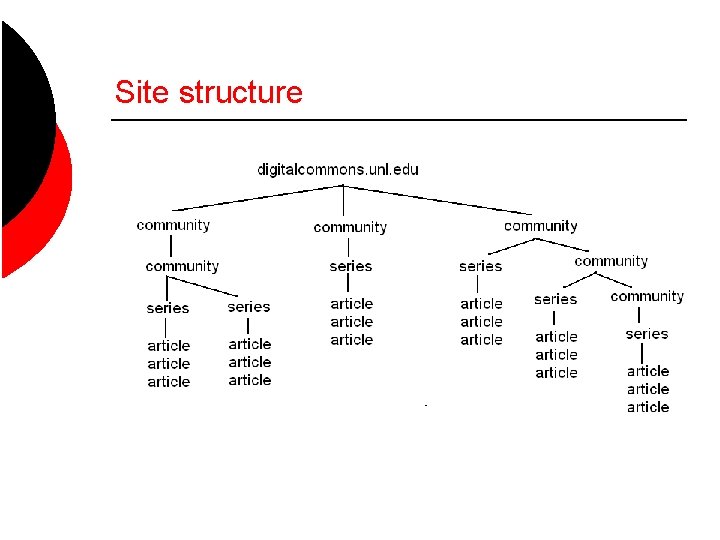 Site structure 