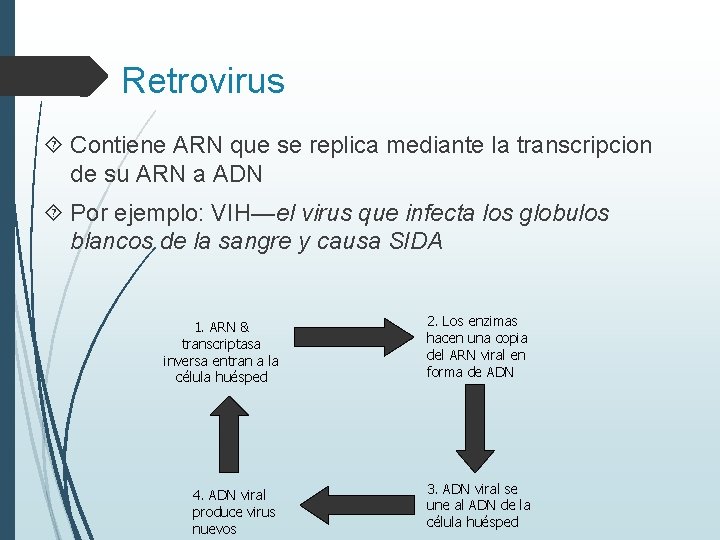 Retrovirus Contiene ARN que se replica mediante la transcripcion de su ARN a ADN