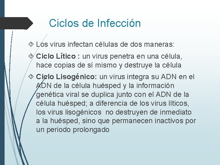 Ciclos de Infección Los virus infectan células de dos maneras: Ciclo Lítico : un
