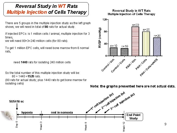 RESCUE OF PLEXOGENIC PULMONARY ARTERIAL HYPERTENSION USING STEM