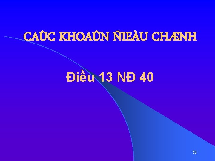 CAÙC KHOAÛN ÑIEÀU CHÆNH Điều 13 NĐ 40 56 