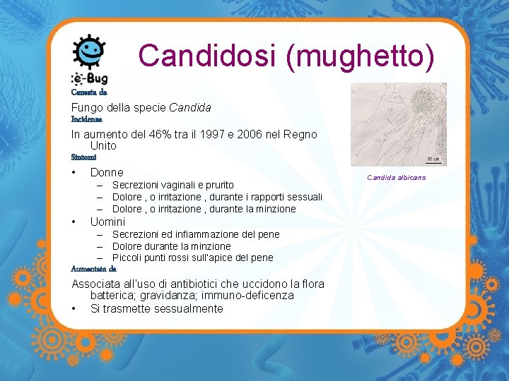 Candidosi (mughetto) Causata da Fungo della specie Candida Incidenza In aumento del 46% tra