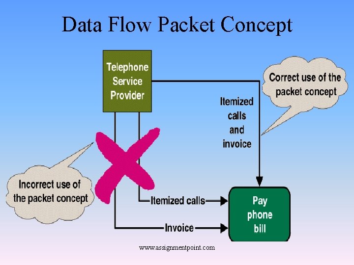 Data Flow Packet Concept www. assignmentpoint. com 