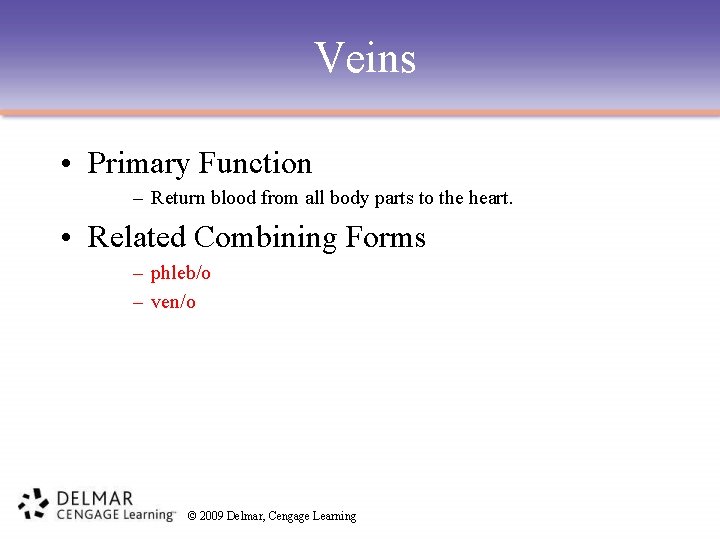 Veins • Primary Function – Return blood from all body parts to the heart.