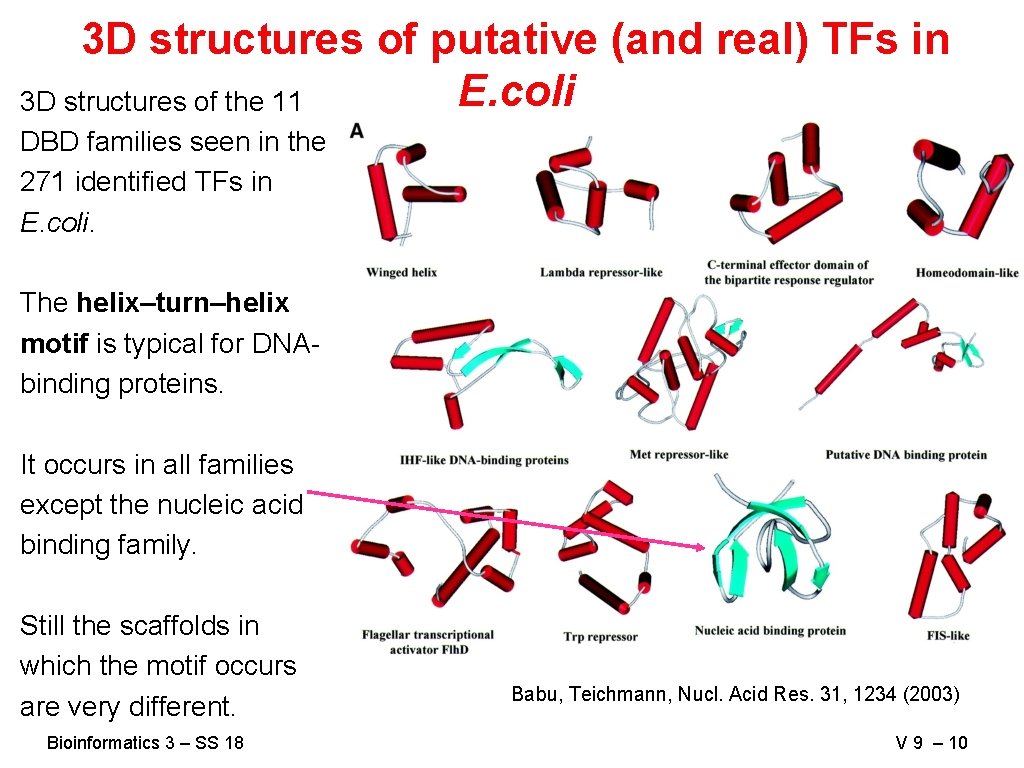 3 D structures of putative (and real) TFs in E. coli 3 D structures