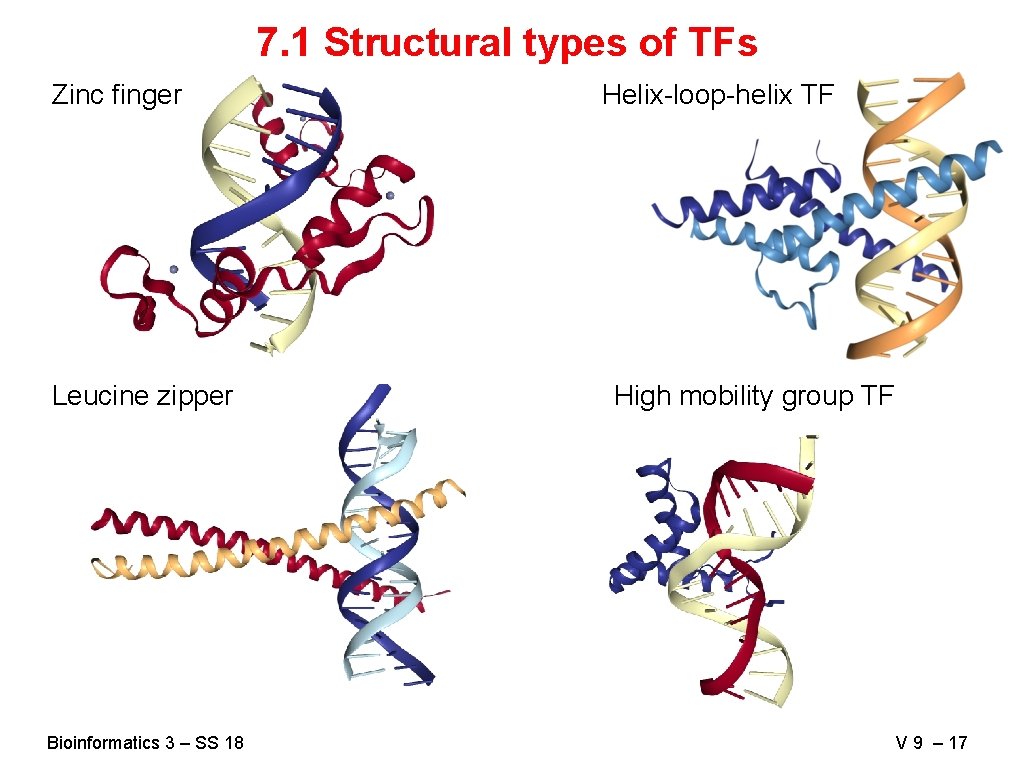 7. 1 Structural types of TFs Zinc finger Leucine zipper Bioinformatics 3 – SS