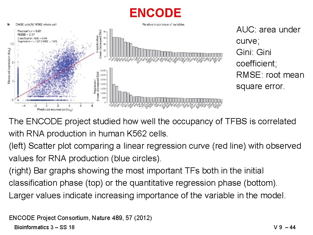 ENCODE AUC: area under curve; Gini: Gini coefficient; RMSE: root mean square error. The