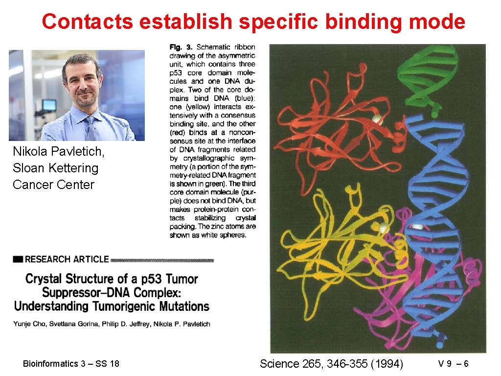 Contacts establish specific binding mode Nikola Pavletich, Sloan Kettering Cancer Center Bioinformatics 3 –