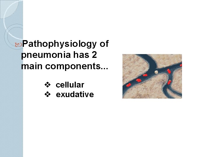  Pathophysiology of pneumonia has 2 main components. . . v cellular v exudative