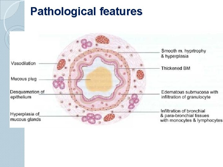 Pathological features 