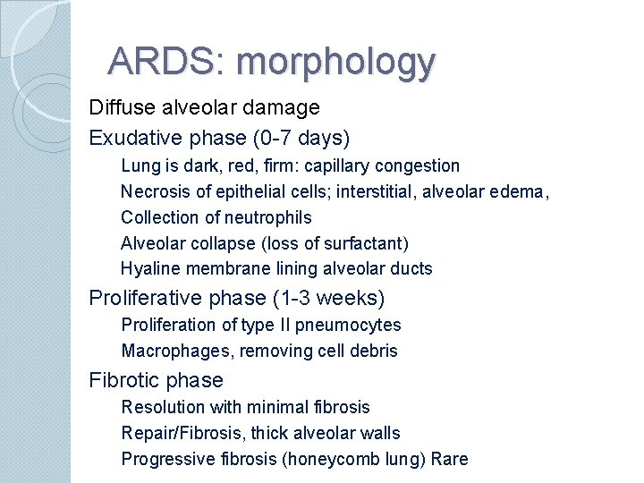 ARDS: morphology Diffuse alveolar damage Exudative phase (0 -7 days) Lung is dark, red,