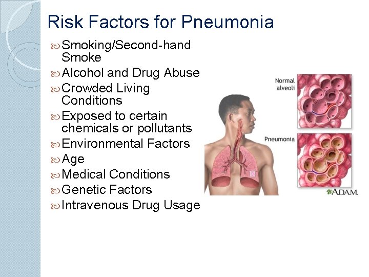 Risk Factors for Pneumonia Smoking/Second-hand Smoke Alcohol and Drug Abuse Crowded Living Conditions Exposed