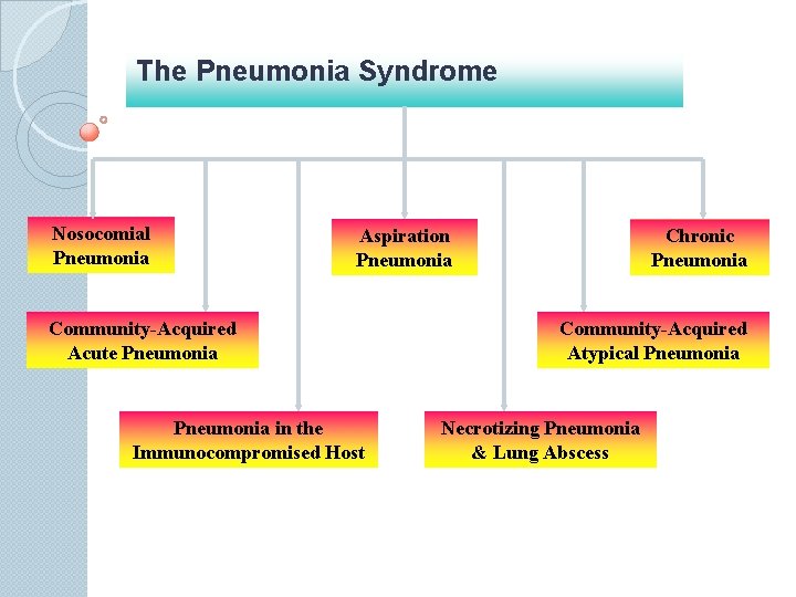 The Pneumonia Syndrome Nosocomial Pneumonia Aspiration Pneumonia Community-Acquired Acute Pneumonia in the Immunocompromised Host