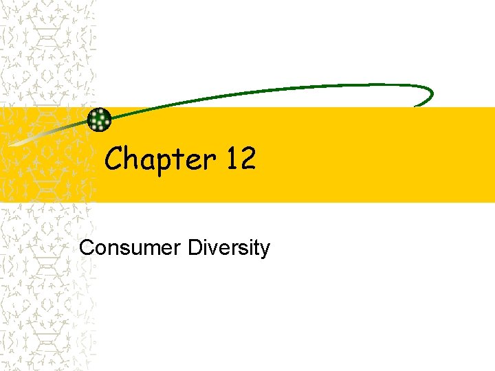 Chapter 12 Consumer Diversity 
