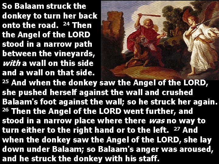 So Balaam struck the donkey to turn her back onto the road. 24 Then