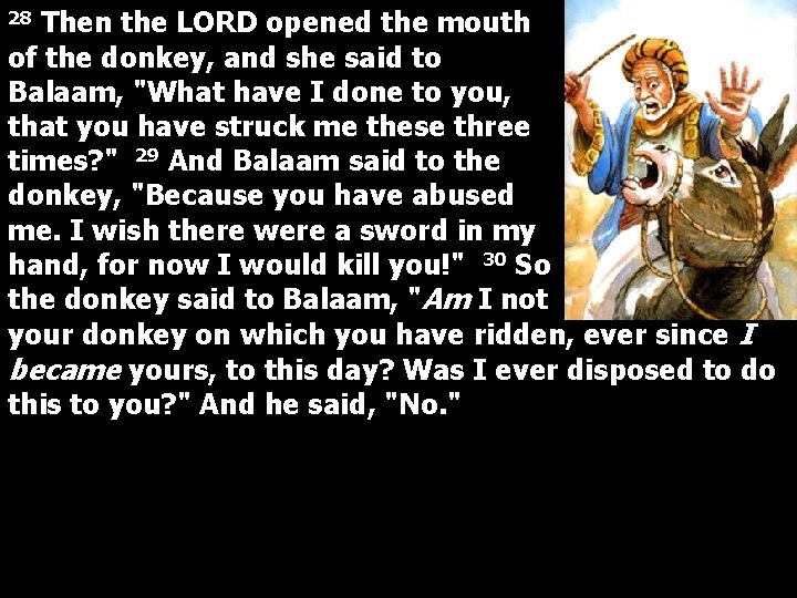 Then the LORD opened the mouth of the donkey, and she said to Balaam,