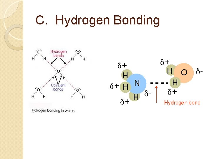 C. Hydrogen Bonding 