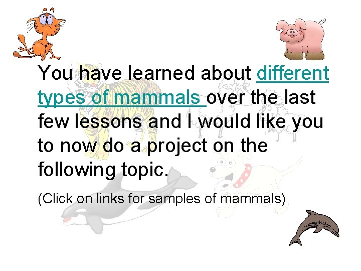 You have learned about different types of mammals over the last few lessons and