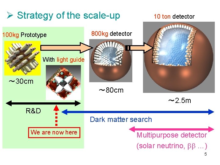 Ø Strategy of the scale-up 100 kg Prototype 10 ton detector 800 kg detector