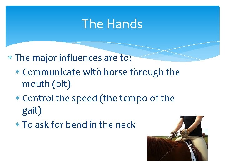 The Hands The major influences are to: Communicate with horse through the mouth (bit)