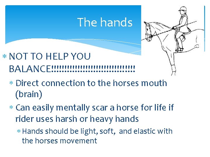 The hands NOT TO HELP YOU BALANCE!!!!!!!!!!!!!!!! Direct connection to the horses mouth (brain)