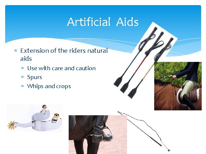 Artificial Aids Extension of the riders natural aids Use with care and caution Spurs
