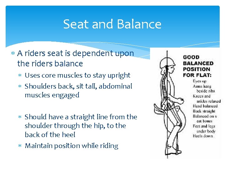 Seat and Balance A riders seat is dependent upon the riders balance Uses core