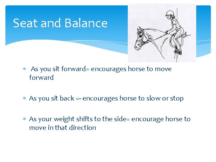 Seat and Balance As you sit forward= encourages horse to move forward As you