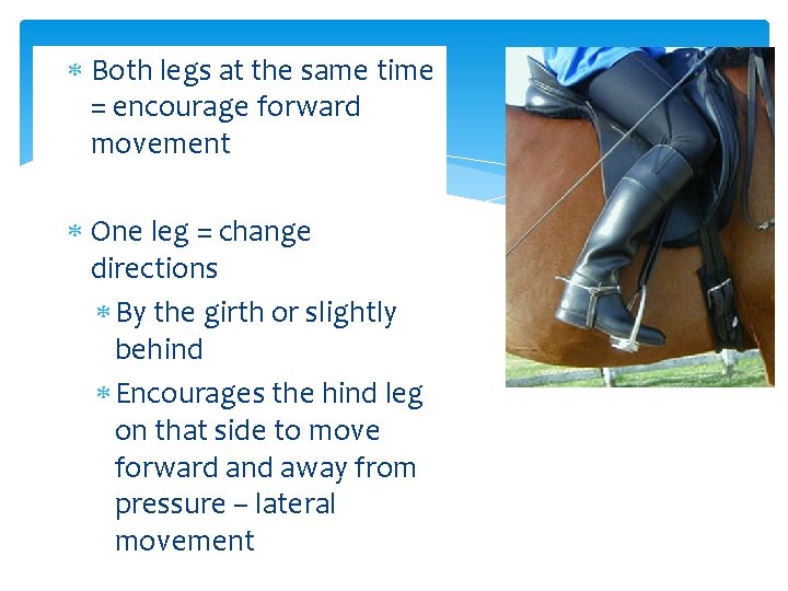  Both legs at the same time = encourage forward movement One leg =