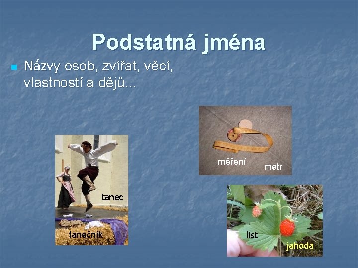 Podstatná jména n Názvy osob, zvířat, věcí, vlastností a dějů… měření metr tanec tanečník