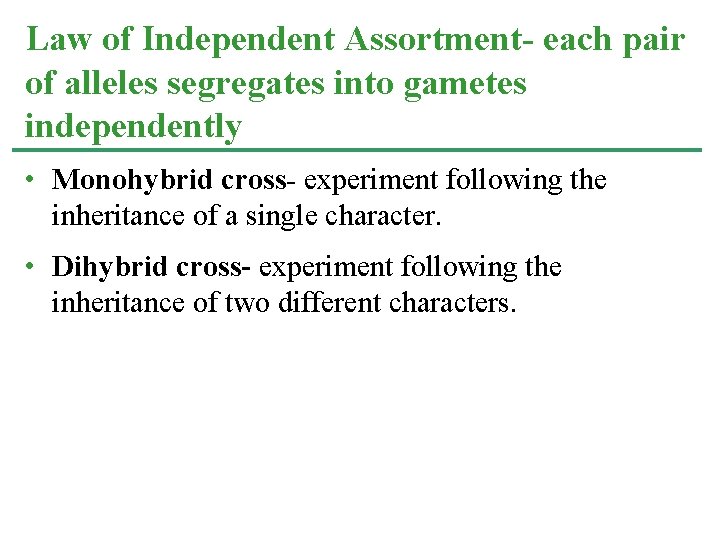 Law of Independent Assortment- each pair of alleles segregates into gametes independently • Monohybrid